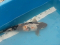 bild-2