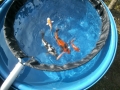 bild-12